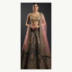 black unstitched lehenga 17166 – full front view